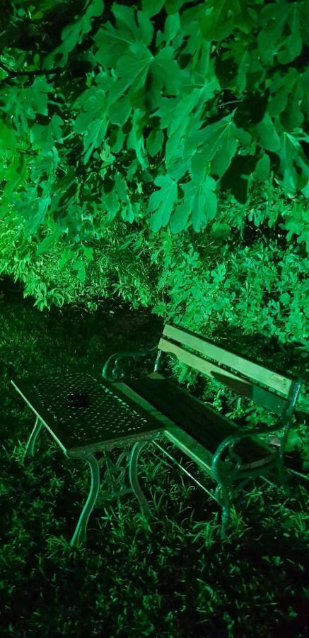 Naturist Angel Nudist Club Hotel - Adults Only Paradíszi Kültér fotó